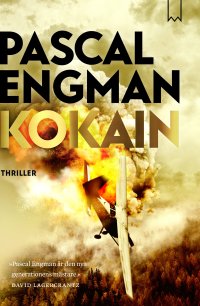 Engman_Kokain_Cover-scaled